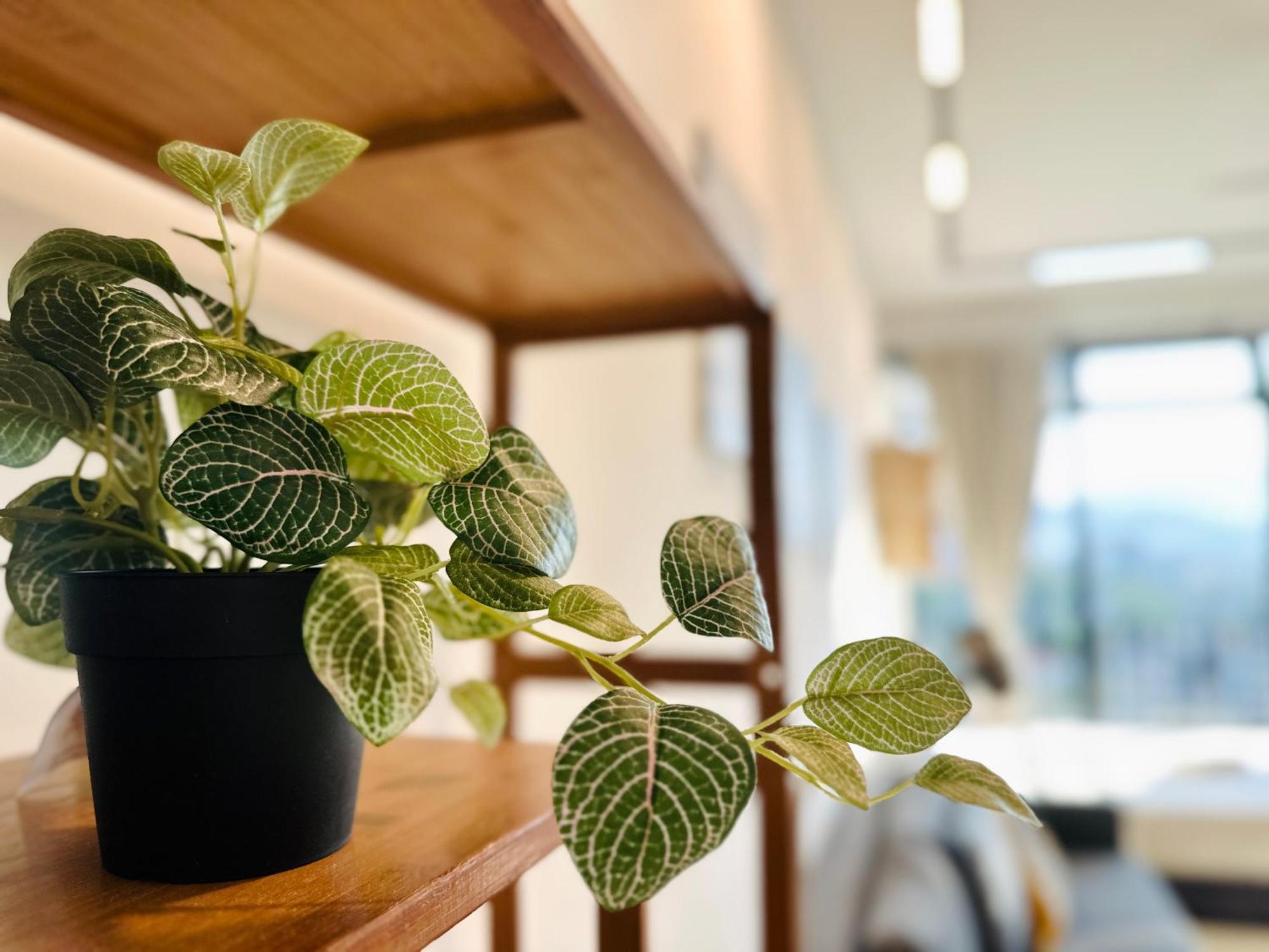 New Georgetown Instagramable 2Br Homestay For 10Pax 无敌美景两房民宿 Beacon Executive Suite Esterno foto